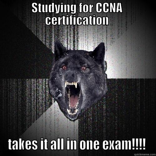 STUDYING FOR CCNA CERTIFICATION TAKES IT ALL IN ONE EXAM!!!! Insanity Wolf