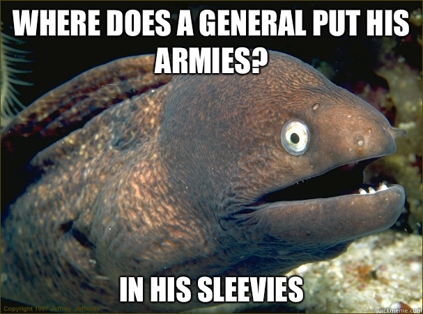 Where does a general put his armies? In his sleevies  Bad Joke Eel