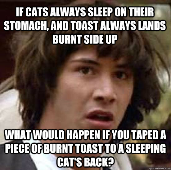 If cats always sleep on their stomach, and toast always lands burnt side up what would happen if you taped a piece of burnt toast to a sleeping cat's back? - If cats always sleep on their stomach, and toast always lands burnt side up what would happen if you taped a piece of burnt toast to a sleeping cat's back?  conspiracy keanu