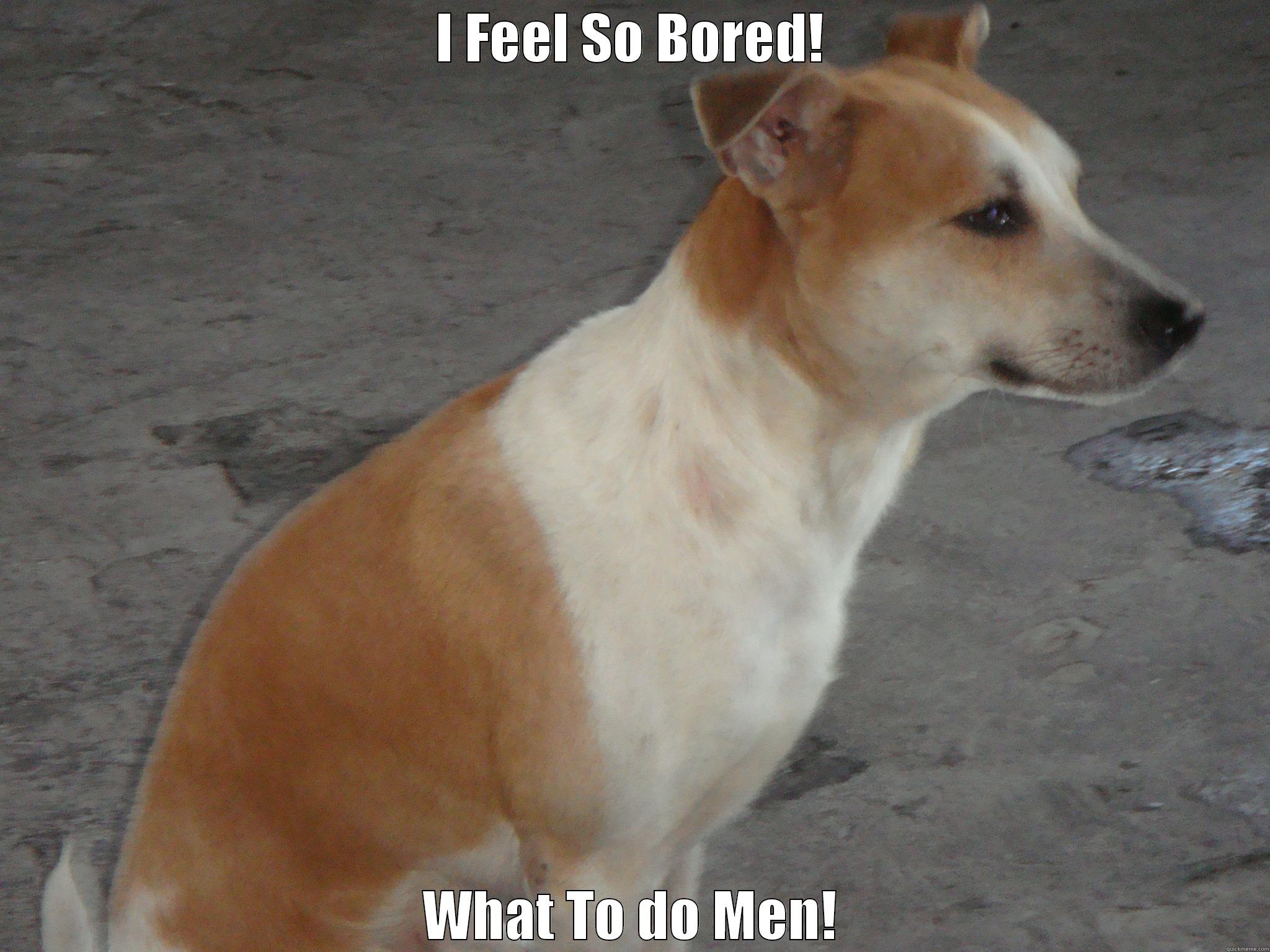 I FEEL SO BORED! WHAT TO DO MEN! Misc