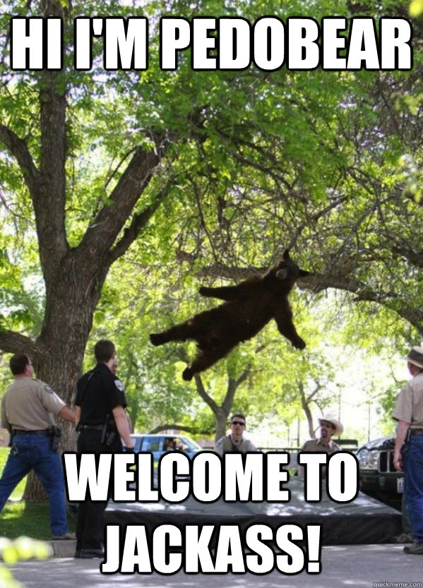 hi i'm pedobear welcome to jackass!  i am a falling bear