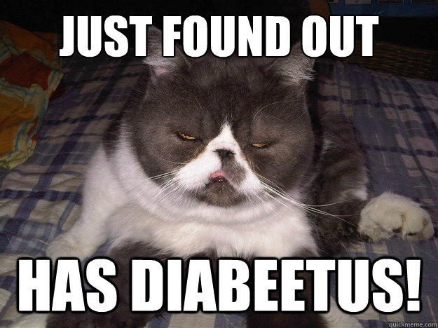 Just FOund Out Has Diabeetus! - Just FOund Out Has Diabeetus!  Wilfred Brimley Cat