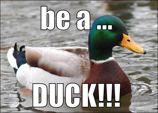 BE A ... DUCK!!! Actual Advice Mallard