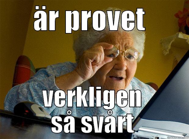 ÄR PROVET  VERKLIGEN SÅ SVÅRT Grandma finds the Internet