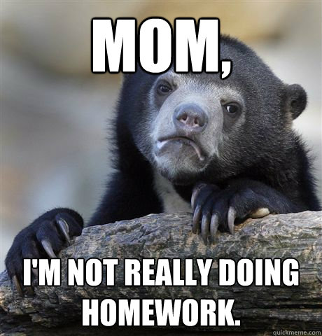 mom, I'm not really doing homework.  Confession Bear