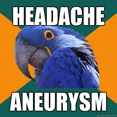 HEADACHE aneurysm  Paranoid Parrot
