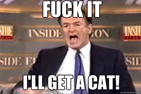 fuck it I'll get a cat!  Fuck It Bill OReilly