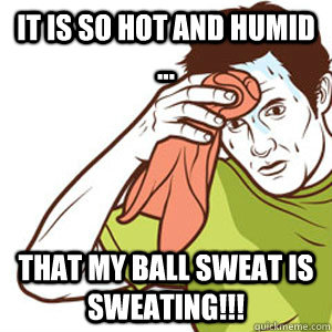 It is so hot and humid ... that my ball sweat is sweating!!!  