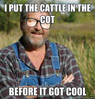 i put the cattle in the cot before it got cool - i put the cattle in the cot before it got cool  Hipster Farmer