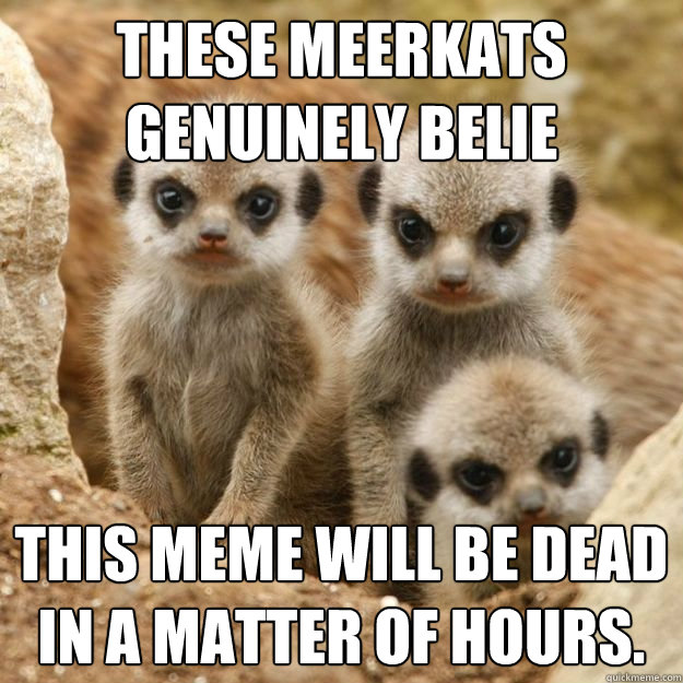 These Meerkats genuinely belie This meme will be dead in a matter of hours.  