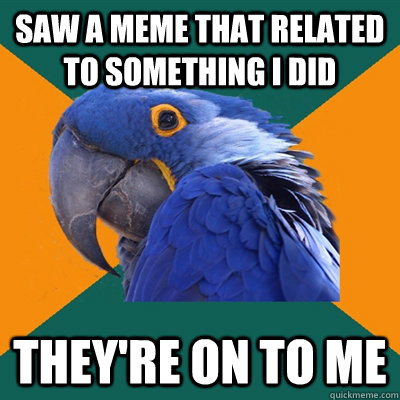 saw a meme that related to something I did They're on to me - saw a meme that related to something I did They're on to me  Paranoid Parrot