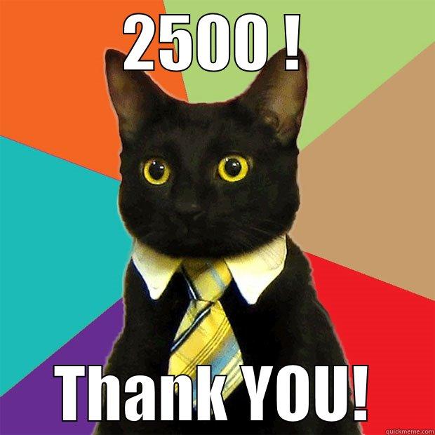 2500 ! THANK YOU! Business Cat