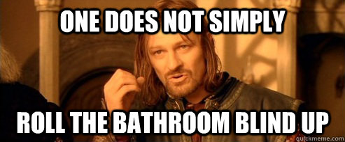 One does not simply Roll the bathroom blind up  One Does Not Simply