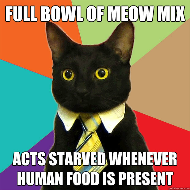 full bowl of meow mix acts starved whenever human food is present  Business Cat