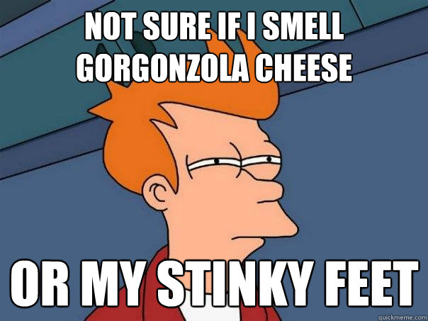 not sure if i smell Gorgonzola cheese  or my stinky feet  Futurama Fry