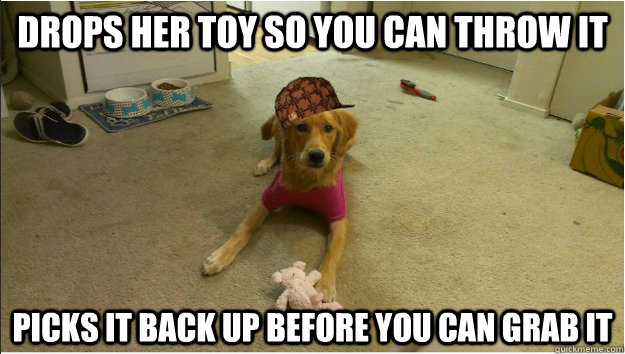 Drops her toy so you can throw it Picks it back up before you can grab it - Drops her toy so you can throw it Picks it back up before you can grab it  Misc