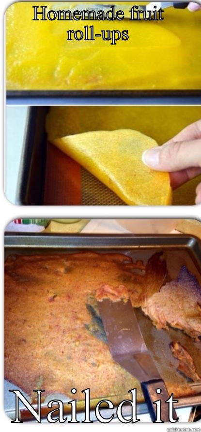 HOMEMADE FRUIT ROLL-UPS NAILED IT Misc