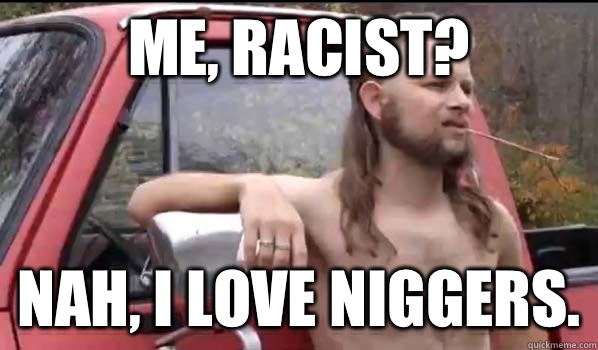 Me, racist? Nah, I love niggers.  Almost Politically Correct Redneck