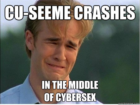 cu-seeme crashes in the middle
of cybersex  1990s Problems