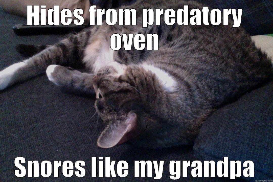HIDES FROM PREDATORY OVEN SNORES LIKE MY GRANDPA Misc