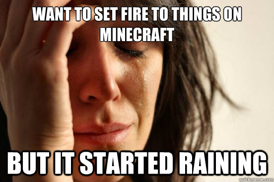 want to set fire to things on minecraft but it started raining  First World Problems