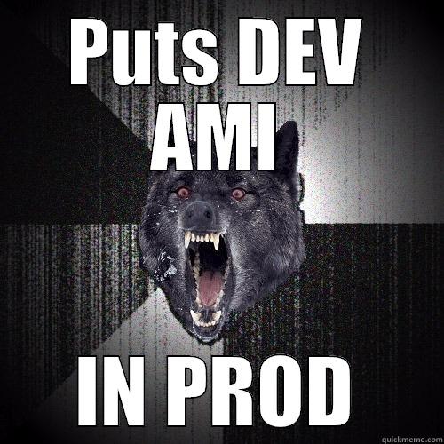PUTS DEV AMI IN PROD Insanity Wolf
