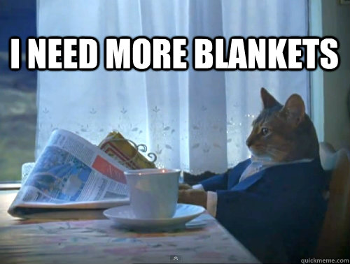 I need more blankets - I need more blankets  1% Cat