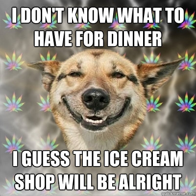 i don't know what to have for dinner i guess the ice cream shop will be alright  Stoner Dog