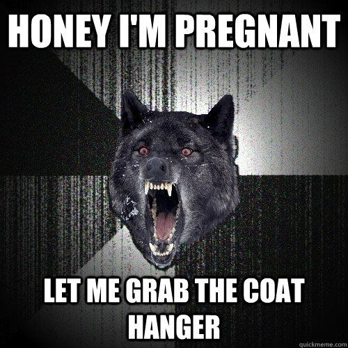 honey i'm pregnant let me grab the coat hanger  Insanity Wolf