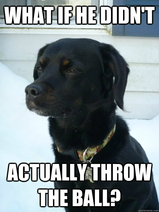 What if he didn't actually throw the ball? - What if he didn't actually throw the ball?  Philosophical Puppy