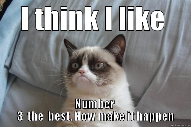 I THINK I LIKE NUMBER  3  THE  BEST. NOW MAKE IT HAPPEN Grumpy Cat