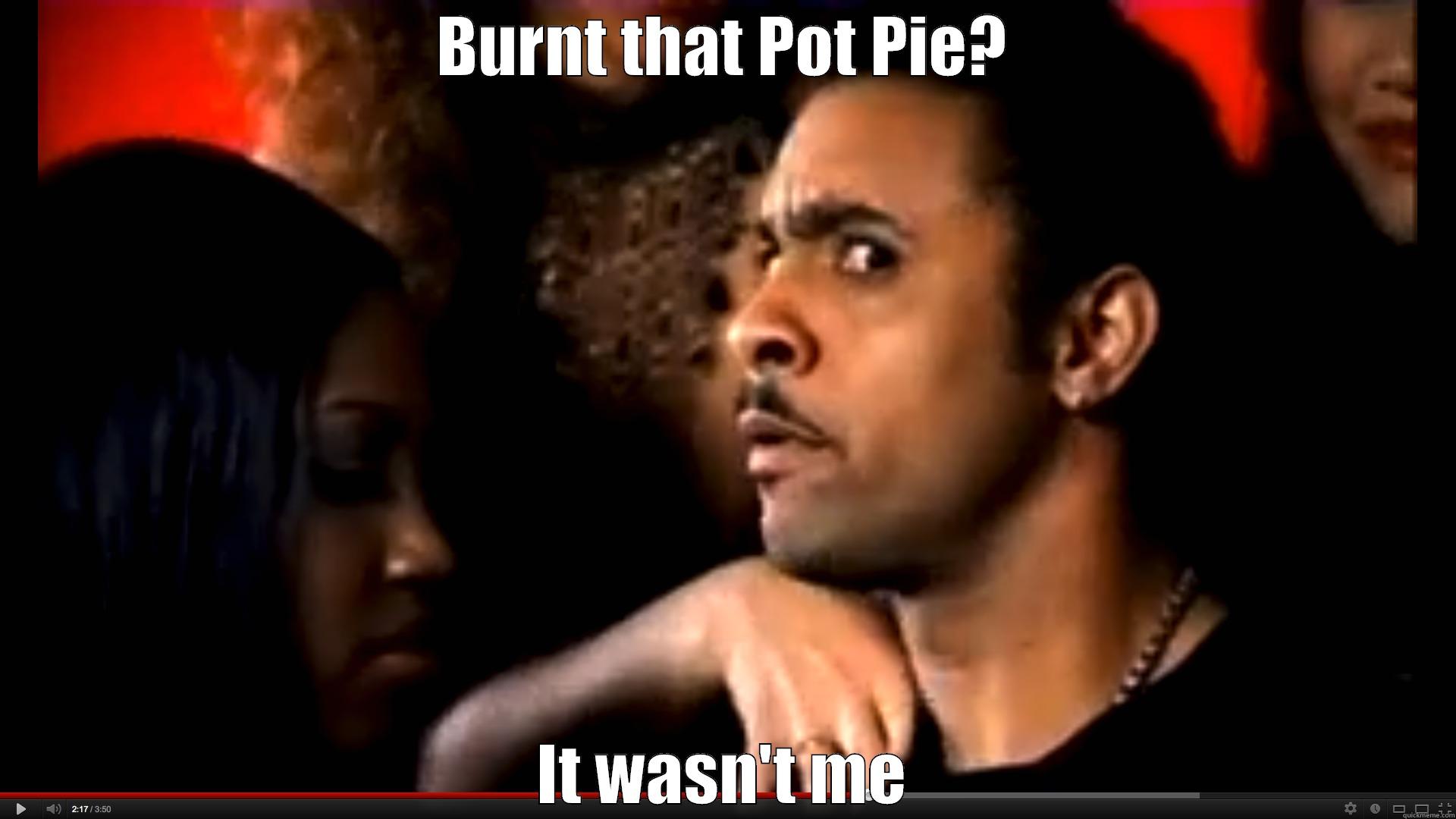 BURNT THAT POT PIE? IT WASN'T ME Misc