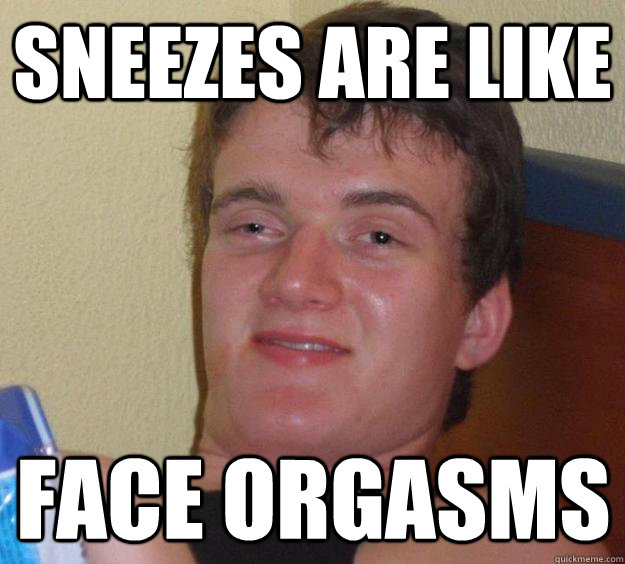 sneezes are like face orgasms  10 Guy