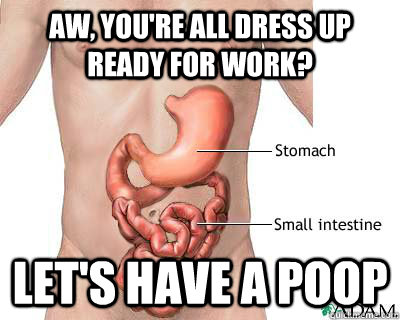 AW, you're all dress up ready for work?  Let's have a poop - AW, you're all dress up ready for work?  Let's have a poop  Misc