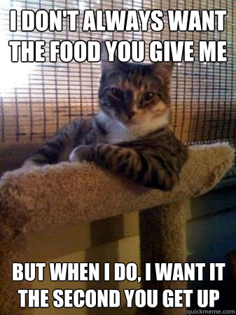I don't always want the food you give me but when I do, I want it the second you get up  The Most Interesting Cat in the World