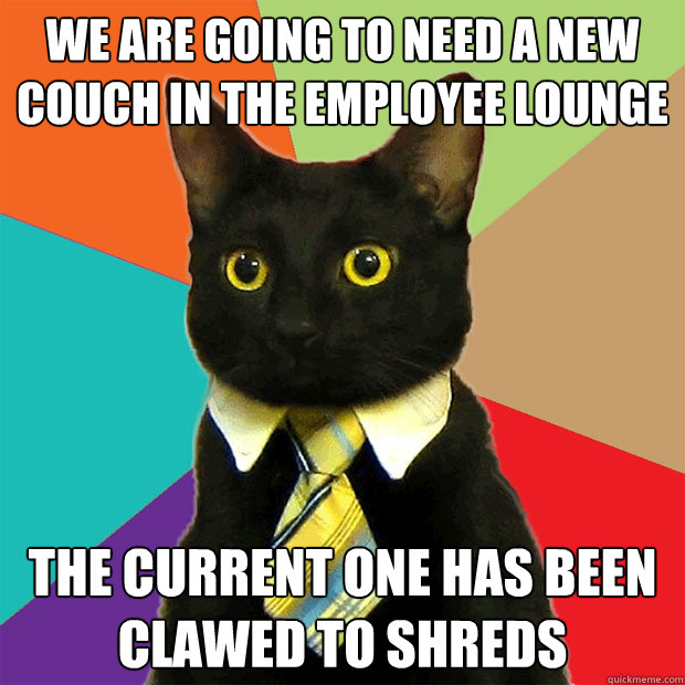 We are going to need a new couch in the employee lounge The current one has been clawed to shreds  Business Cat