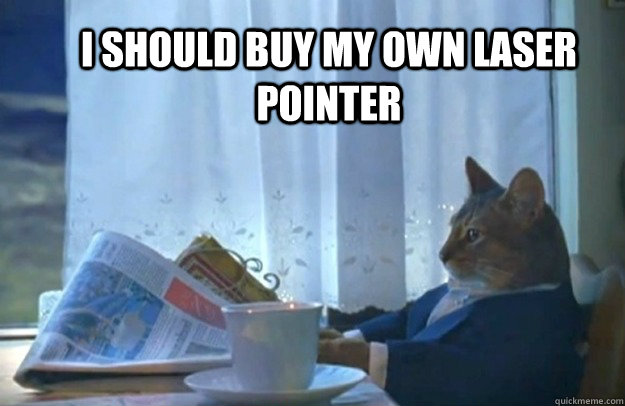 I should buy my own laser pointer - I should buy my own laser pointer  Sophisticated Cat