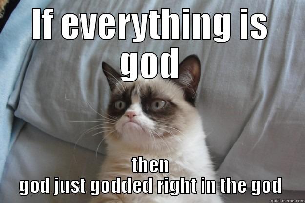 IF EVERYTHING IS GOD THEN GOD JUST GODDED RIGHT IN THE GOD Grumpy Cat