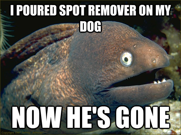 I poured spot remover on my dog now he's gone - I poured spot remover on my dog now he's gone  Bad Joke Eel