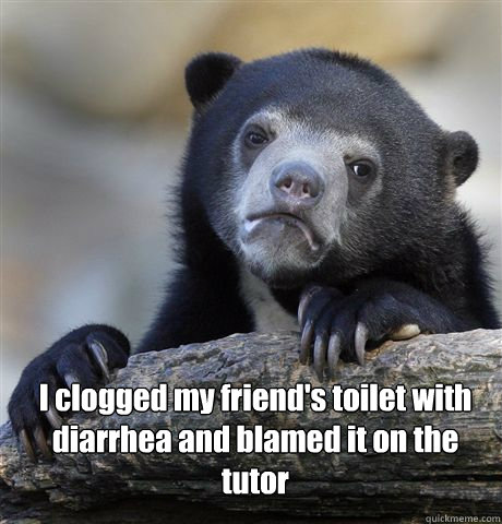 I clogged my friend's toilet with diarrhea and blamed it on the tutor  - I clogged my friend's toilet with diarrhea and blamed it on the tutor   Confession Bear