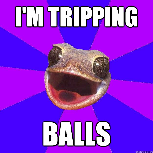 i'm tripping balls - i'm tripping balls  Lets Go Gecko