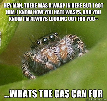 Hey man, there was a wasp in here but I got him, I know how you hate wasps, and you know I'm always looking out for you-- ...whats the GAS CAN for  Misunderstood Spider