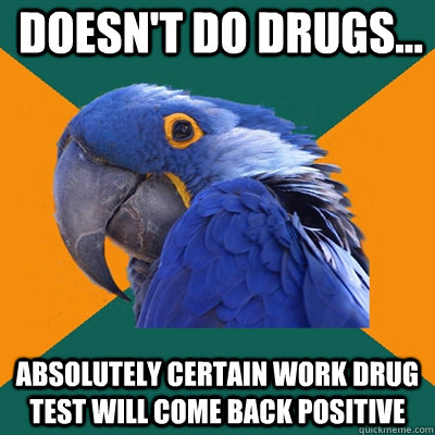 Doesn't do drugs... absolutely certain work drug test will come back positive  Paranoid Parrot
