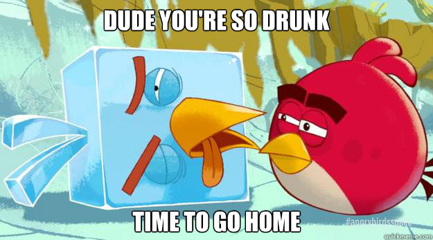 Dude you're so drunk Time to go home  Drunk Ice Angry Bird