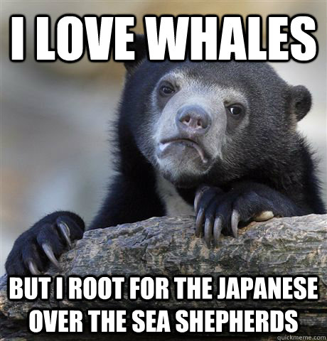 I love whales But I root for the Japanese over the Sea Shepherds  Confession Bear