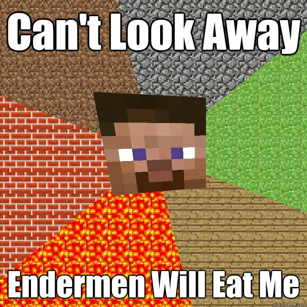 Can't Look Away Endermen Will Eat Me  Minecraft