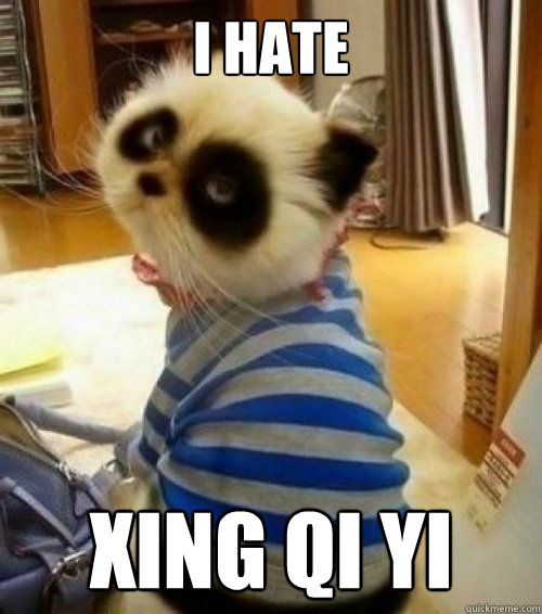i hate xing qi yi  Panda Cat
