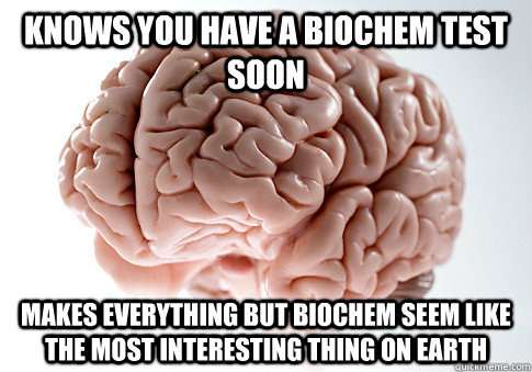 knows you have a biochem test soon makes everything but biochem seem like the most interesting thing on earth  Scumbag Brain
