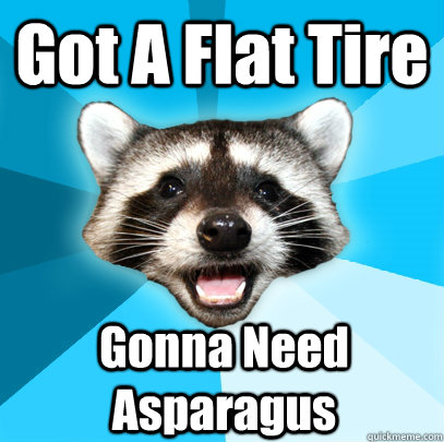 Got A Flat Tire Gonna Need Asparagus  Lame Pun Coon