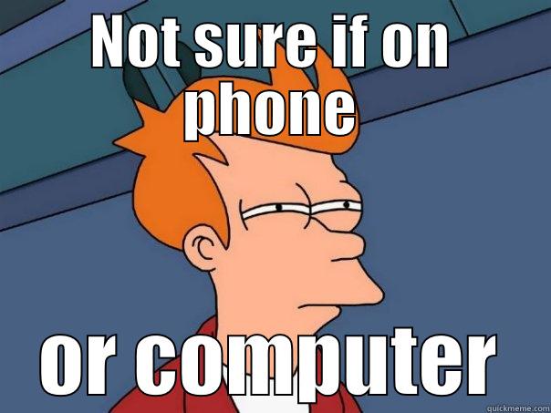 NOT SURE IF ON PHONE OR COMPUTER Futurama Fry